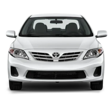 autorulatee autorulatee